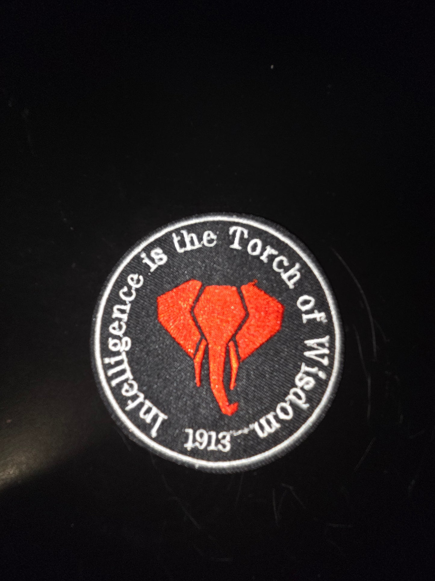 Delta Sigma Theta Intelligence Iron On Patch