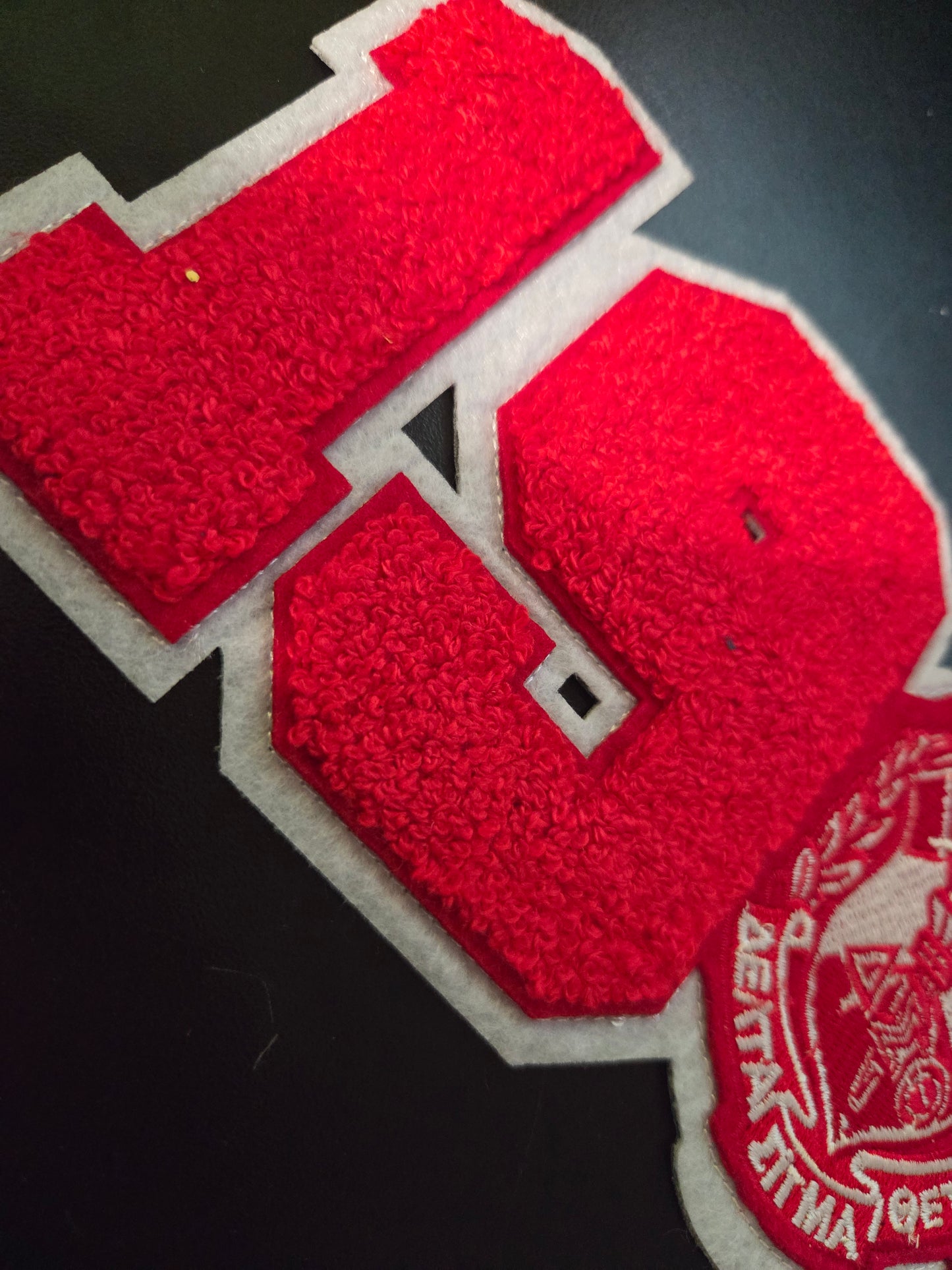 Delta Sigma Theta 1913 Crest Chenille Iron On Patch